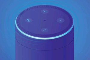 Now You’re Talking: Your Guide to Alexa Smart Speakers